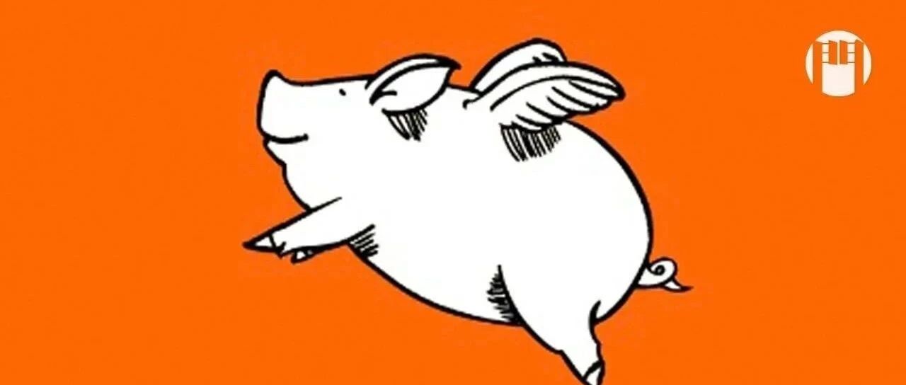 如何在猪年起飞？