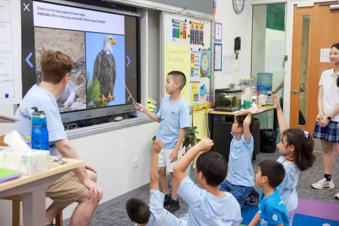 Shanghai School Roundup ： IB Scores, Openings & Events Jul 2026