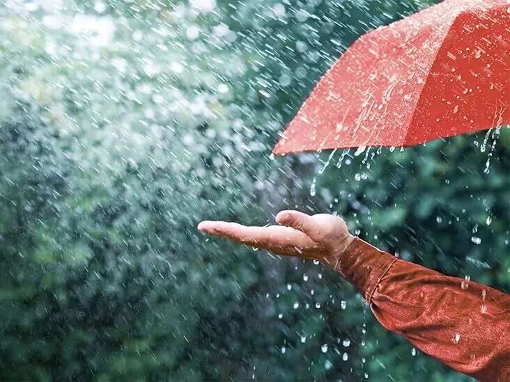 Typhoon Saudel Shanghai ： Blue Warning, Strong Winds, Rain Until Aug 28