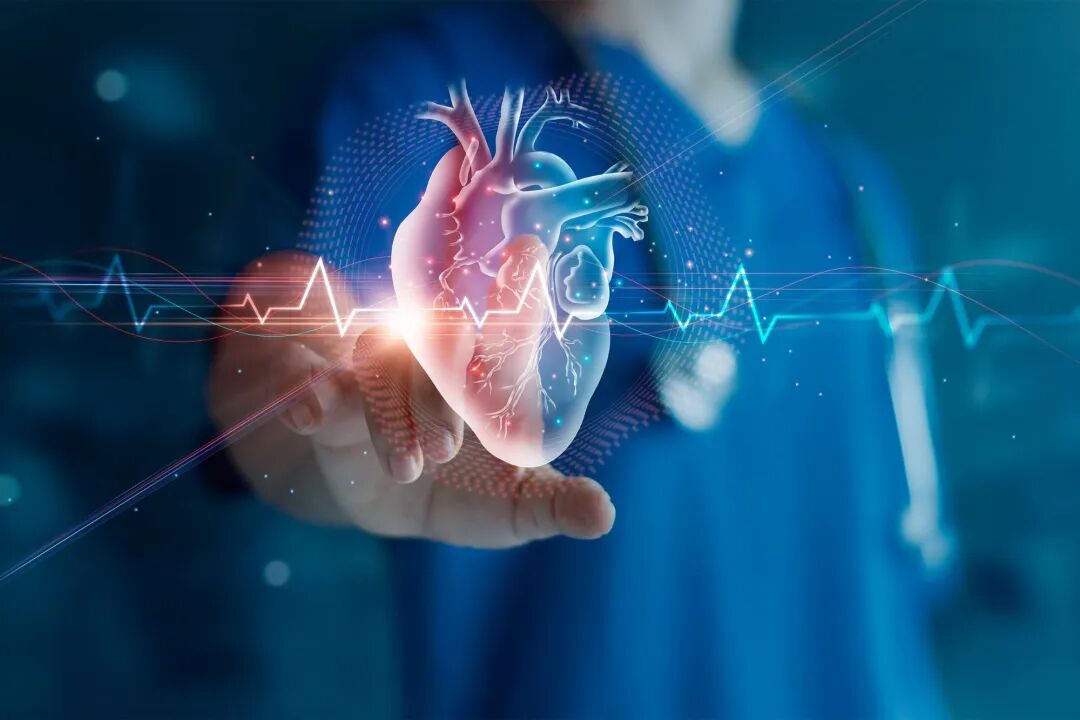 Parkway Shanghai Coronary Intervention for German Patient with 90% Stenosis