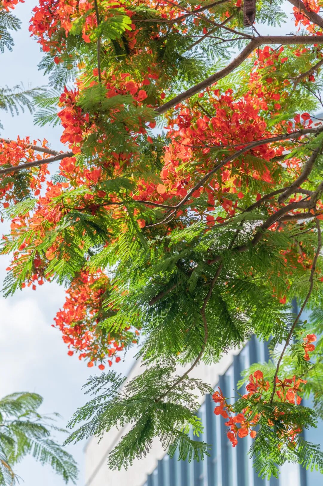 Waldorf Astoria Xiamen Summer 2026 Family Package from RMB2,588