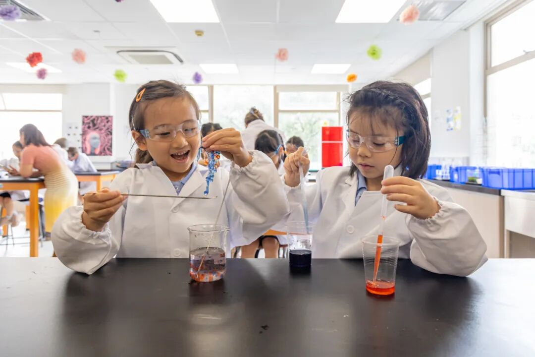 Shanghai Community International School Fall Open House 2026  I  October 28