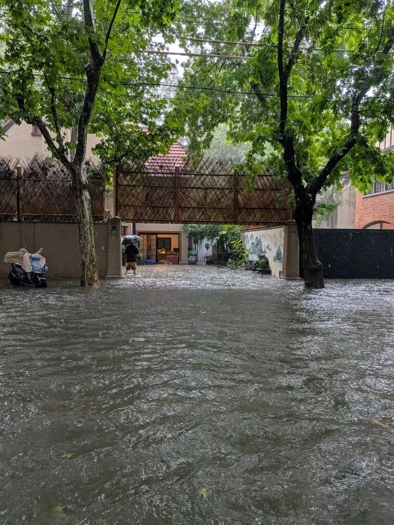 Typhoon Dolphin ： Shanghai Floods, Disneyland Closed, 1,000 Flights Canceled