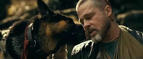 6 International Movies in Chinese Cinemas September 2026