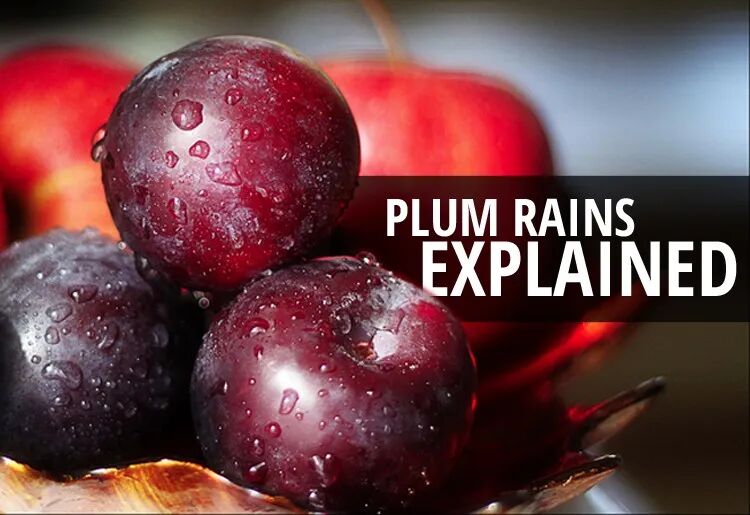 Shanghai Heatwave Update ： Plum Rains End, Sanfu Begins