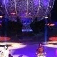 【Feb/Mar】Discount tickets for Shanghai ERA2 Acrobatic Show