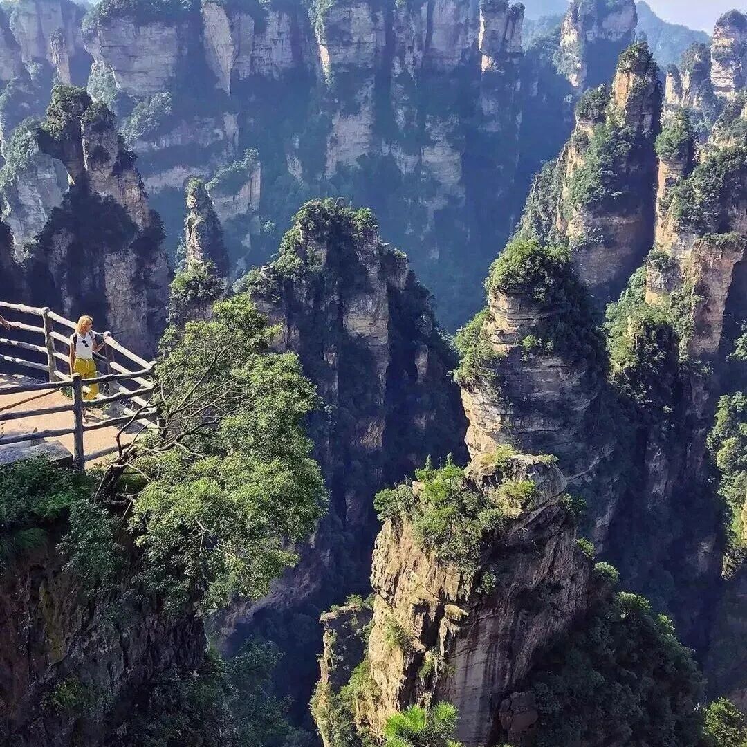 【China Travel】3 Day Zhangjiajie Avatar Mountain Tour
