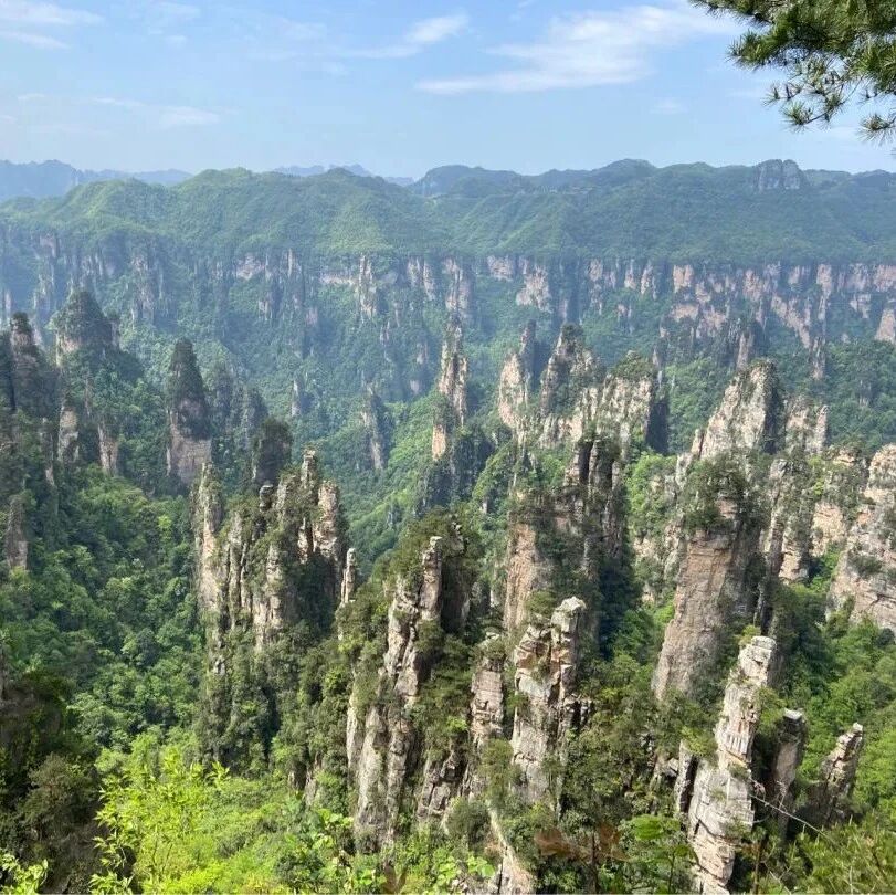 【China Travel】4 Day Zhangjiajie Avatar Mt., Canyon, Tianmen Cave