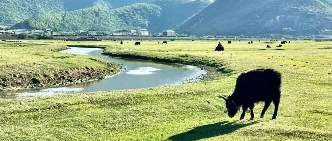 【Yunnan】7 Day Dali/Shangri-La/Lijiang with JSM (Line A/Daily)