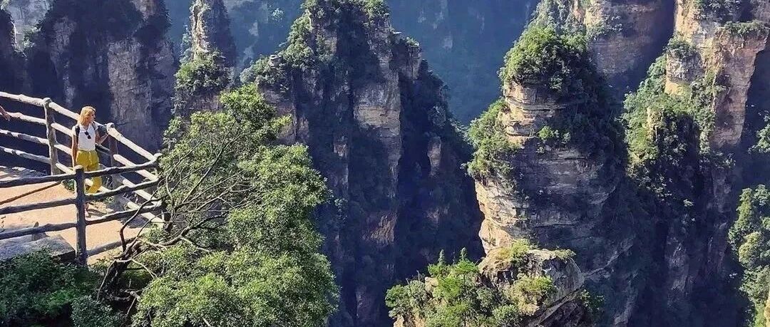 【2025 China Tour】4 Day Zhangjiajie:Avatar Mountains Grand Canyon