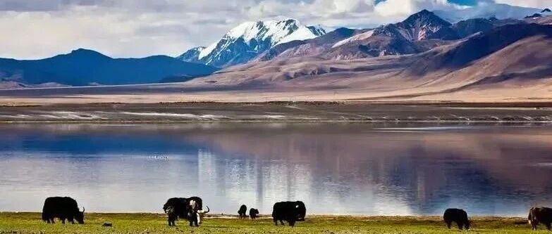 【2025 Tibet】13 Day Mt Kailash, Mt Everest Base Camp to Kathmandu