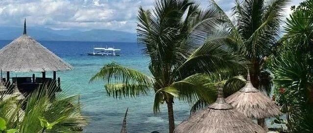 5 Day Cebu Mactan+Moalboal Sardine Run+Oslob Whaleshark+Sumilon