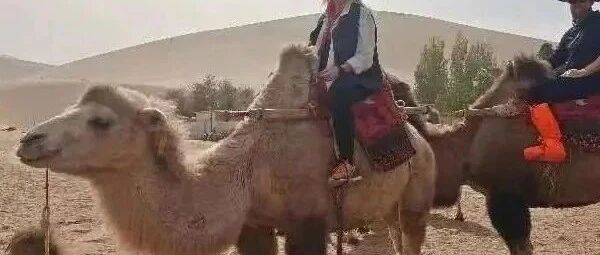 【China Travel】7 Day Qinghai & Gansu Silk Road Tour