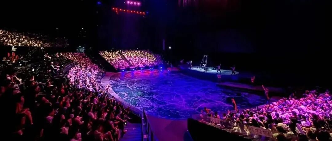 China Must-See Shows 2026