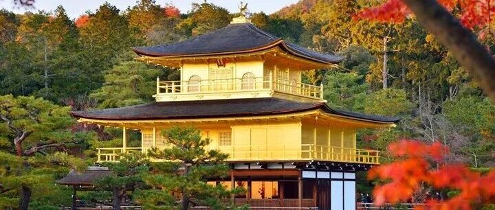 【Oct Holiday】7-Day Japan's Golden Route Tokyo/Kyoto/Nara/Osaka