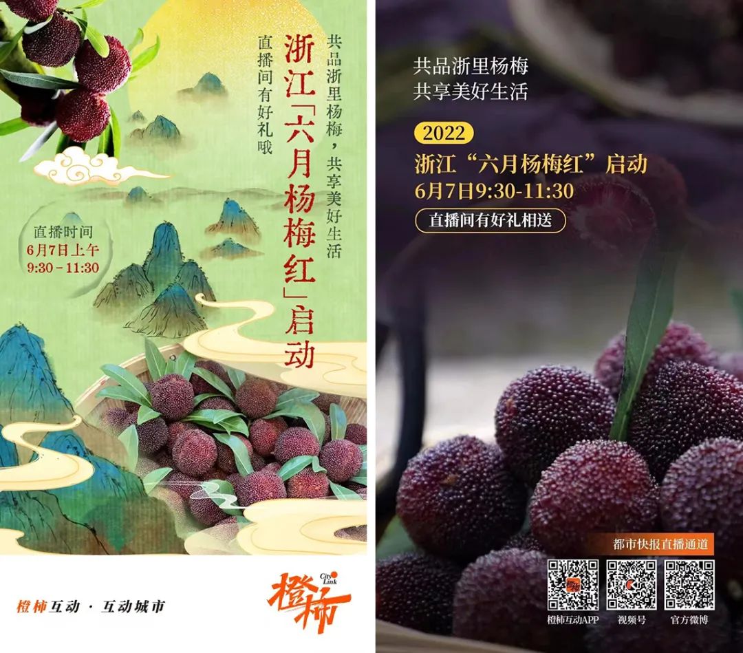 探索新型政务合彩神作融媒体传播“六月杨梅红”怎样红起来│“六新六工程”重点项目55
