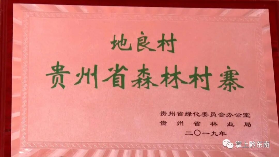 �����ظ������ٻ񡰹���ʡɭ�����������ƺ�