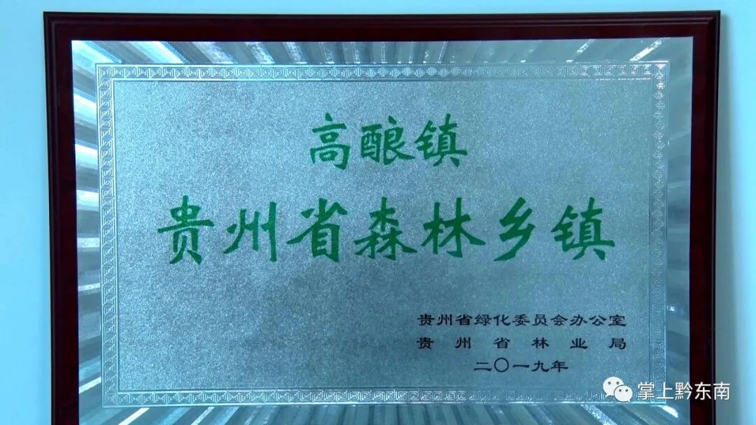 �����ظ������ٻ񡰹���ʡɭ�����������ƺ�