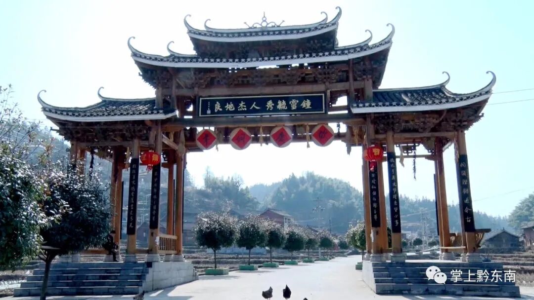 �����ظ������ٻ񡰹���ʡɭ�����������ƺ�