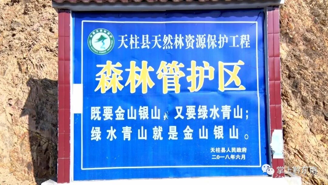 �����ظ������ٻ񡰹���ʡɭ�����������ƺ�