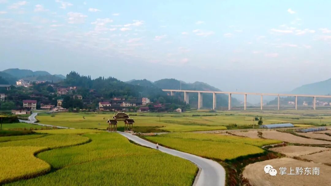 �����ظ������ٻ񡰹���ʡɭ�����������ƺ�