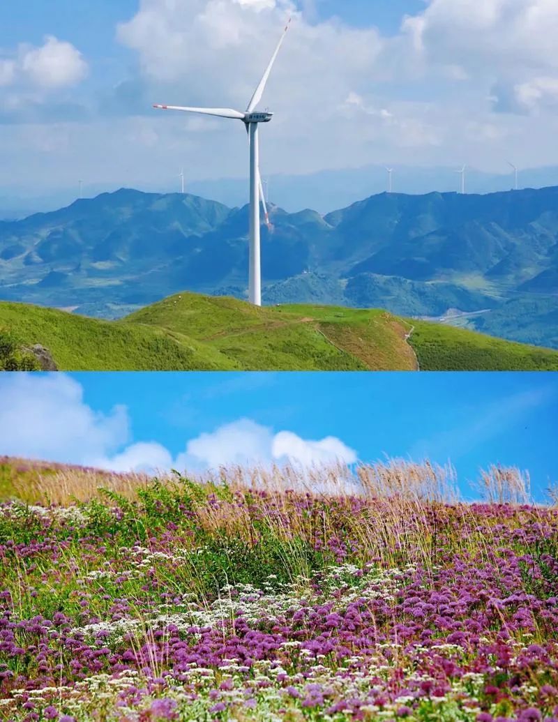 无毒蛇养殖场地怎么建_找团建场地_儋州几时建驾考场地