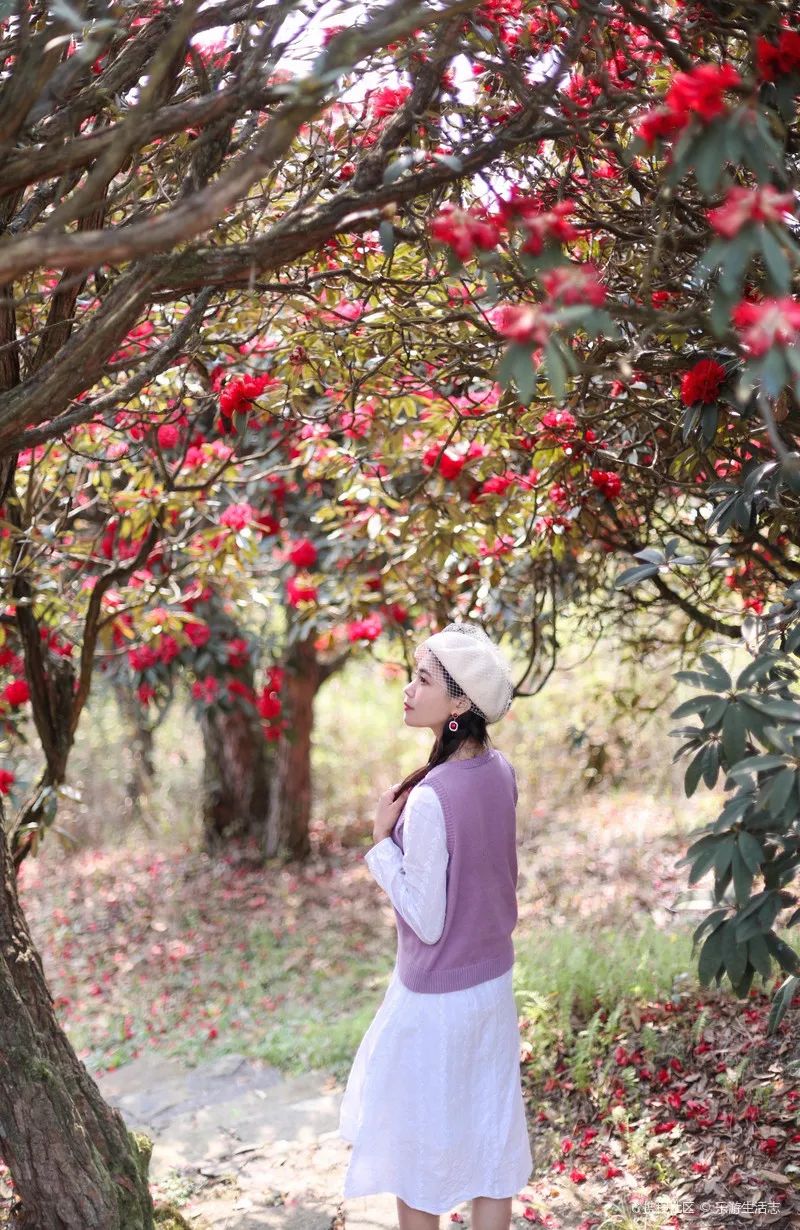 找团建场地_儋州几时建驾考场地_无毒蛇养殖场地怎么建