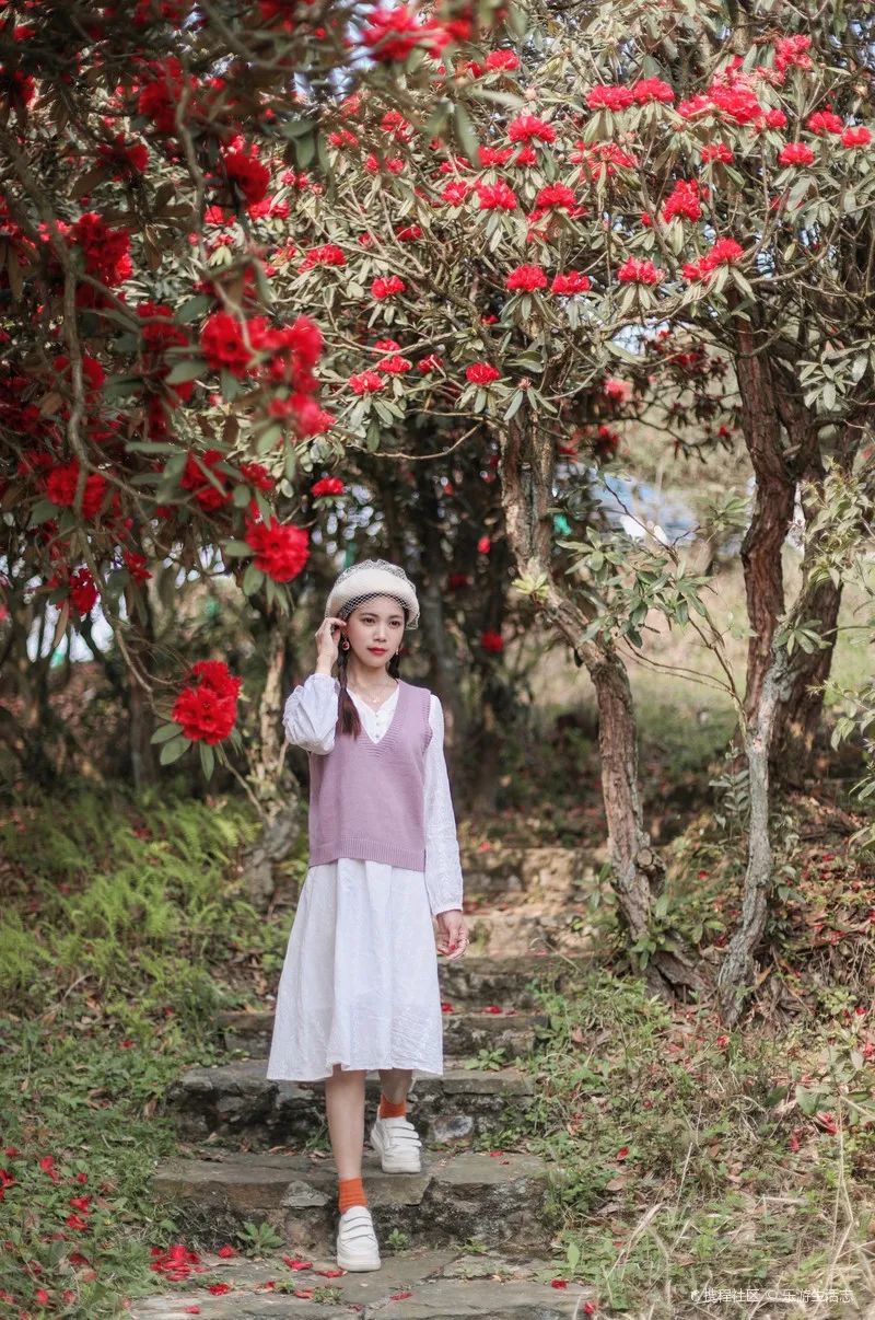 无毒蛇养殖场地怎么建_儋州几时建驾考场地_找团建场地