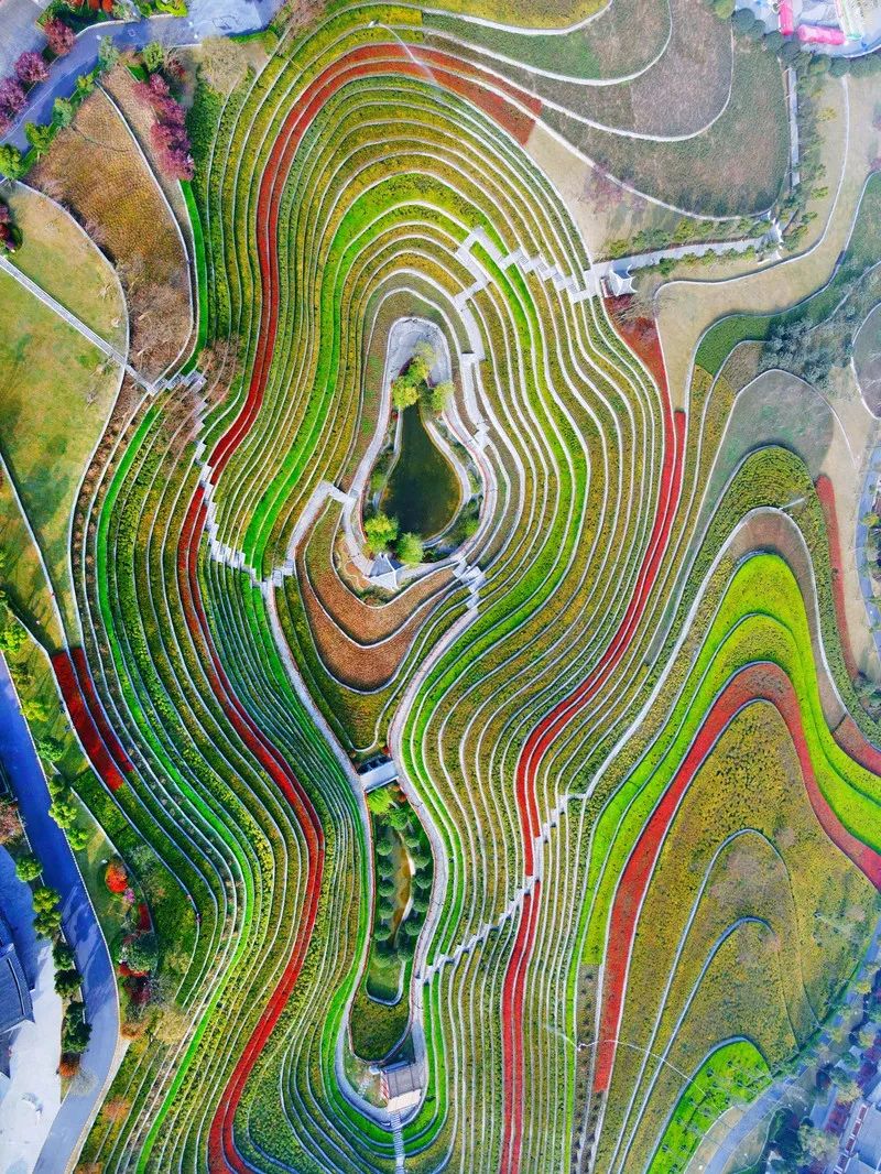 儋州几时建驾考场地_无毒蛇养殖场地怎么建_找团建场地