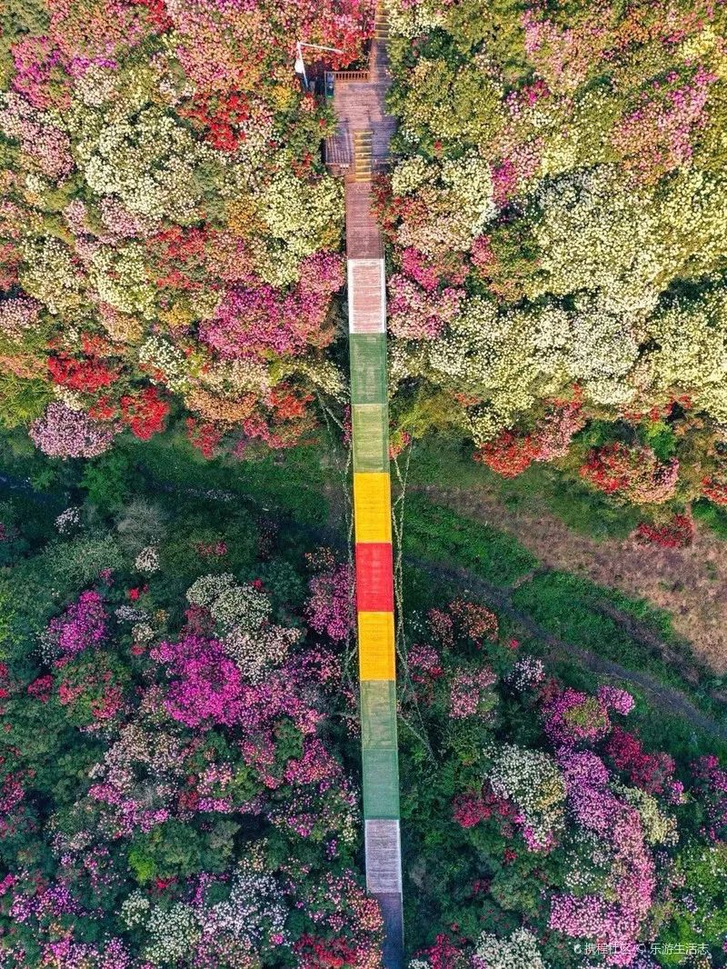 找团建场地_无毒蛇养殖场地怎么建_儋州几时建驾考场地