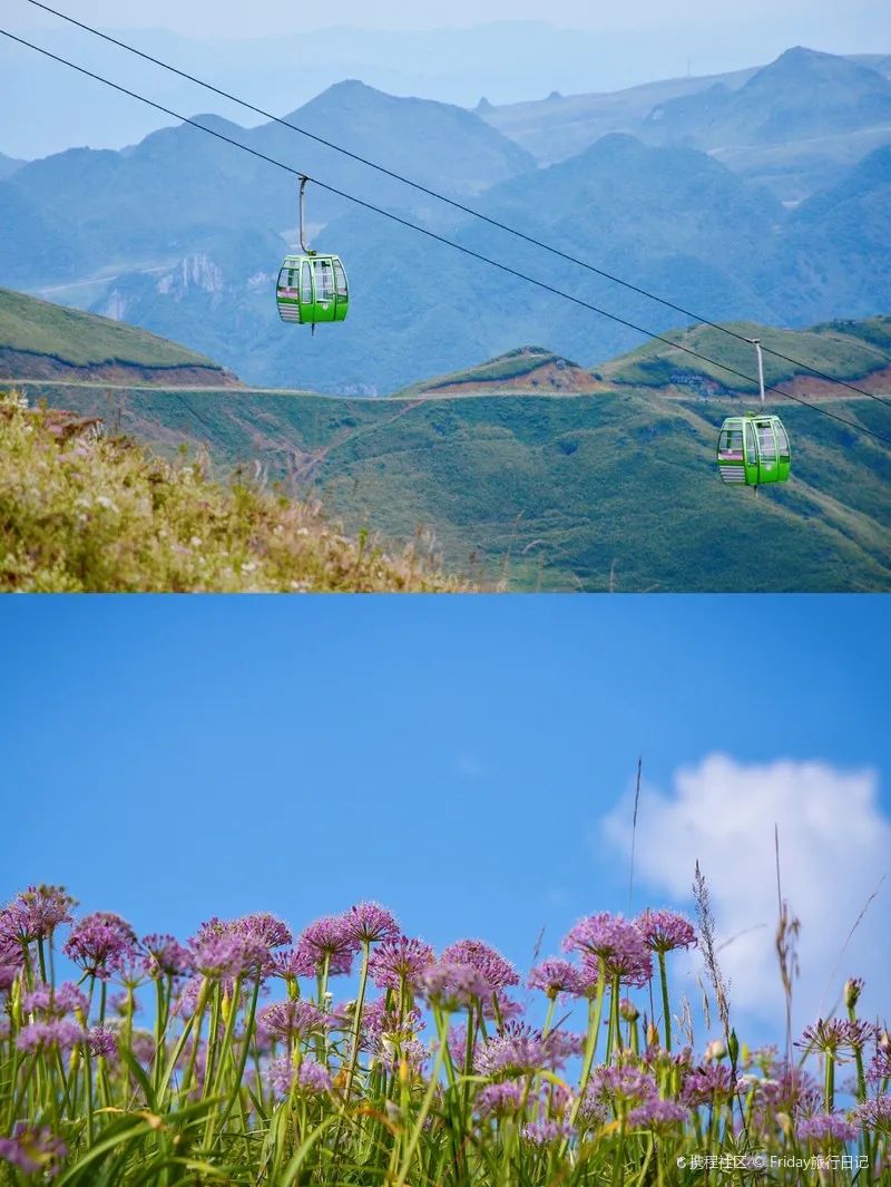 找团建场地_无毒蛇养殖场地怎么建_儋州几时建驾考场地