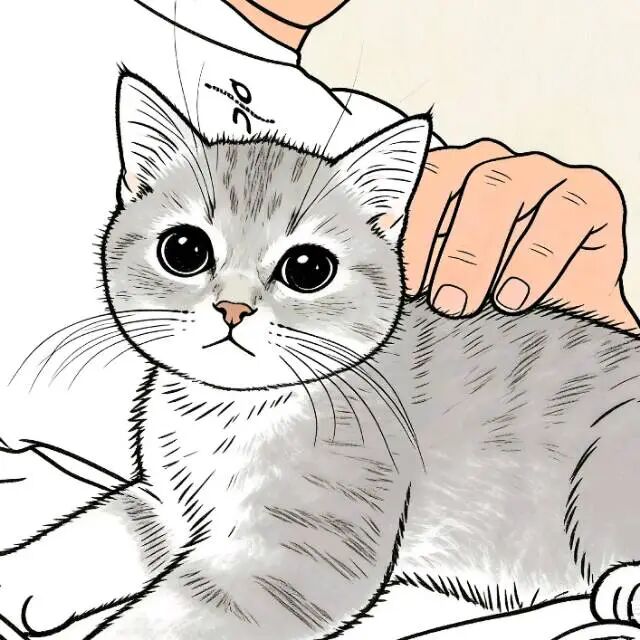 青哥喵家