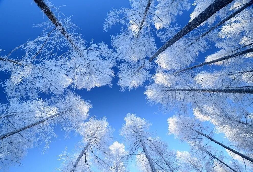 早听：又是一年冬至，白昼最短，思念最长