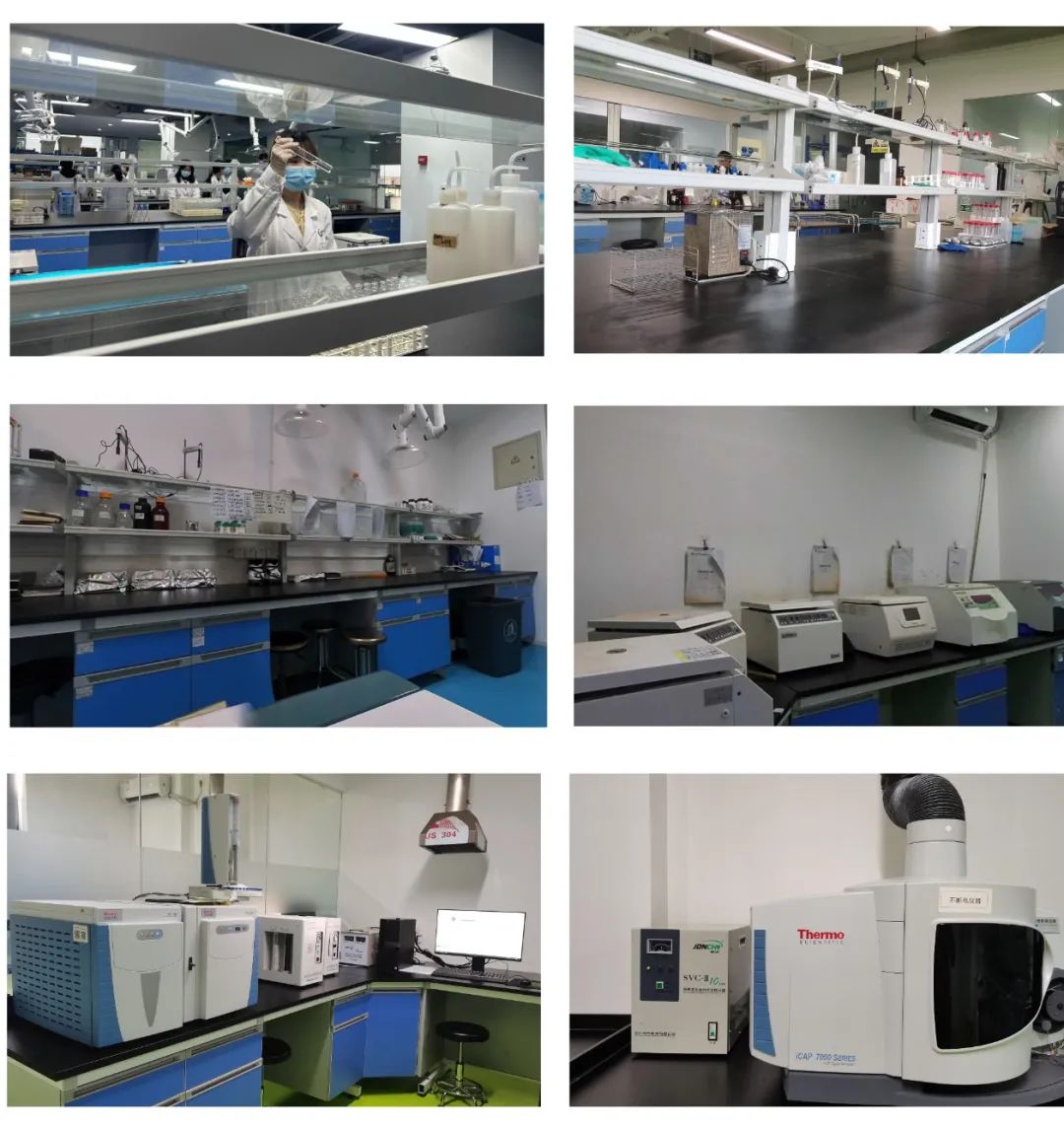 文献解读（2024.03发表）|土壤微食物网中的营养级相互作用驱动了沿树种丰富度的生态系统多功能性