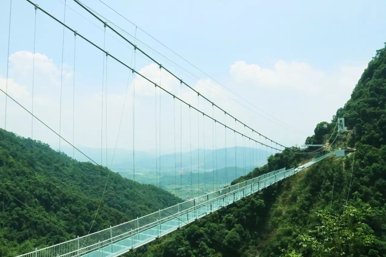 自贡高峰公园玻璃桥图片