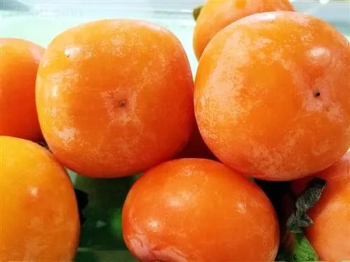 脆柿子的功效与作用，脆柿子怎么吃