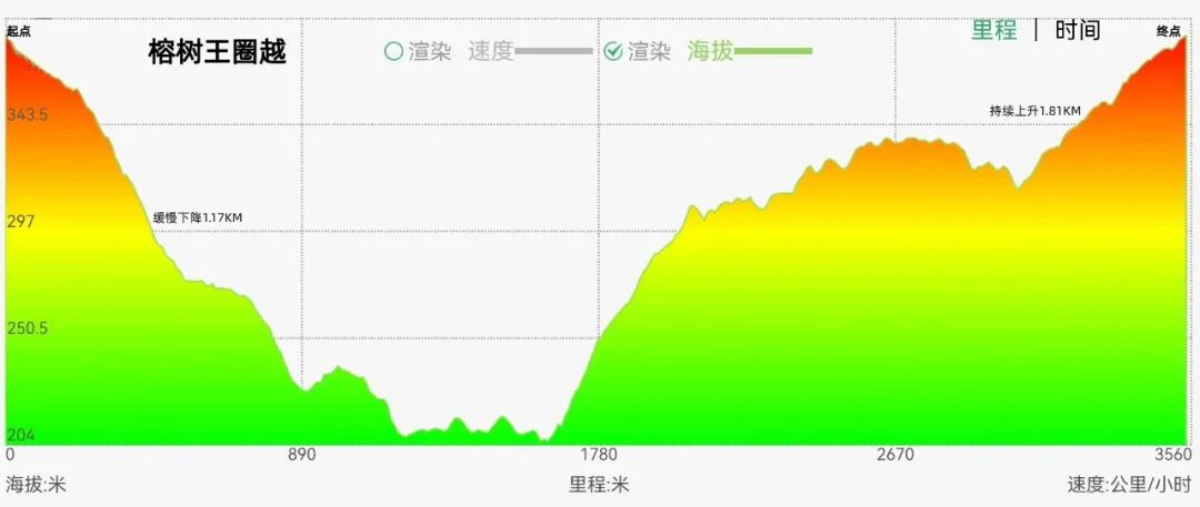 右满舵百线共享 | NO.99：榕树王圈越 配图3