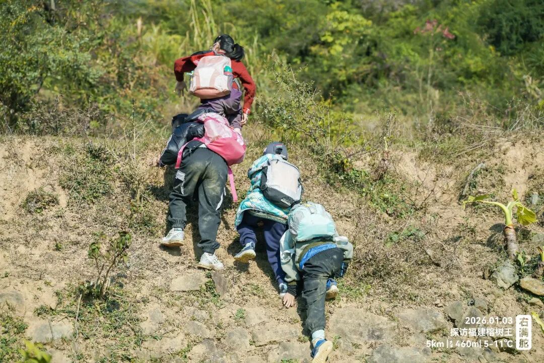 右满舵百线共享 | NO.99：榕树王圈越 配图7