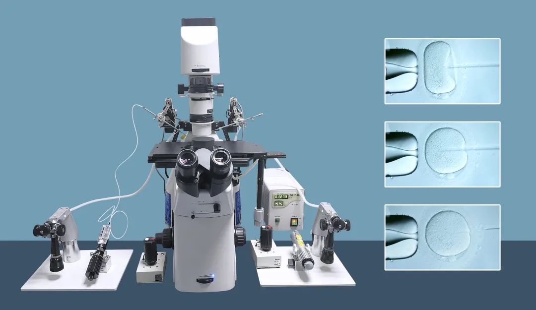 nexcope nib900 倒置显微镜搭载体外显微注射系统