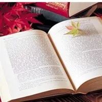 秋瓷炫怀孕,郑大世竟然哭了哈哈哈哈哈哈哈