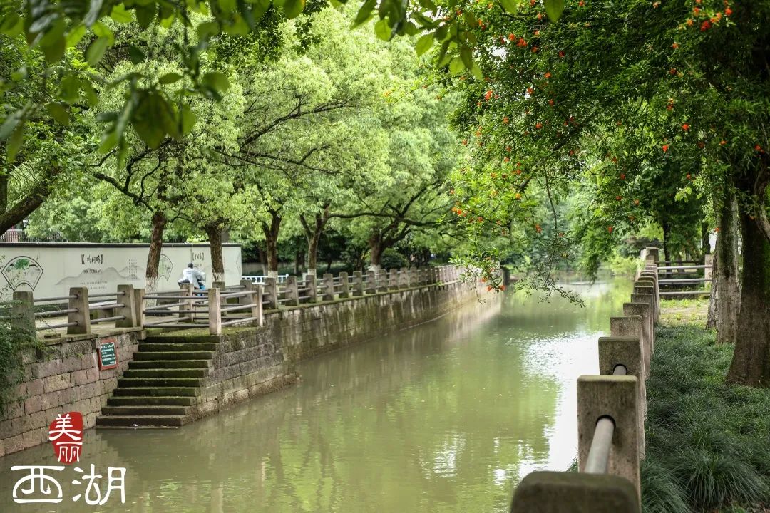 历史文化街区_历史文化街区的分类_街区历史文化植入推进情况