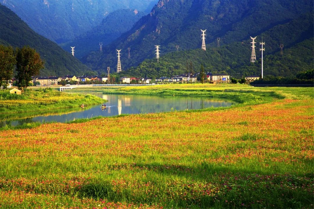 西湖區，你怎麼這麼好看！ 旅遊 第18張