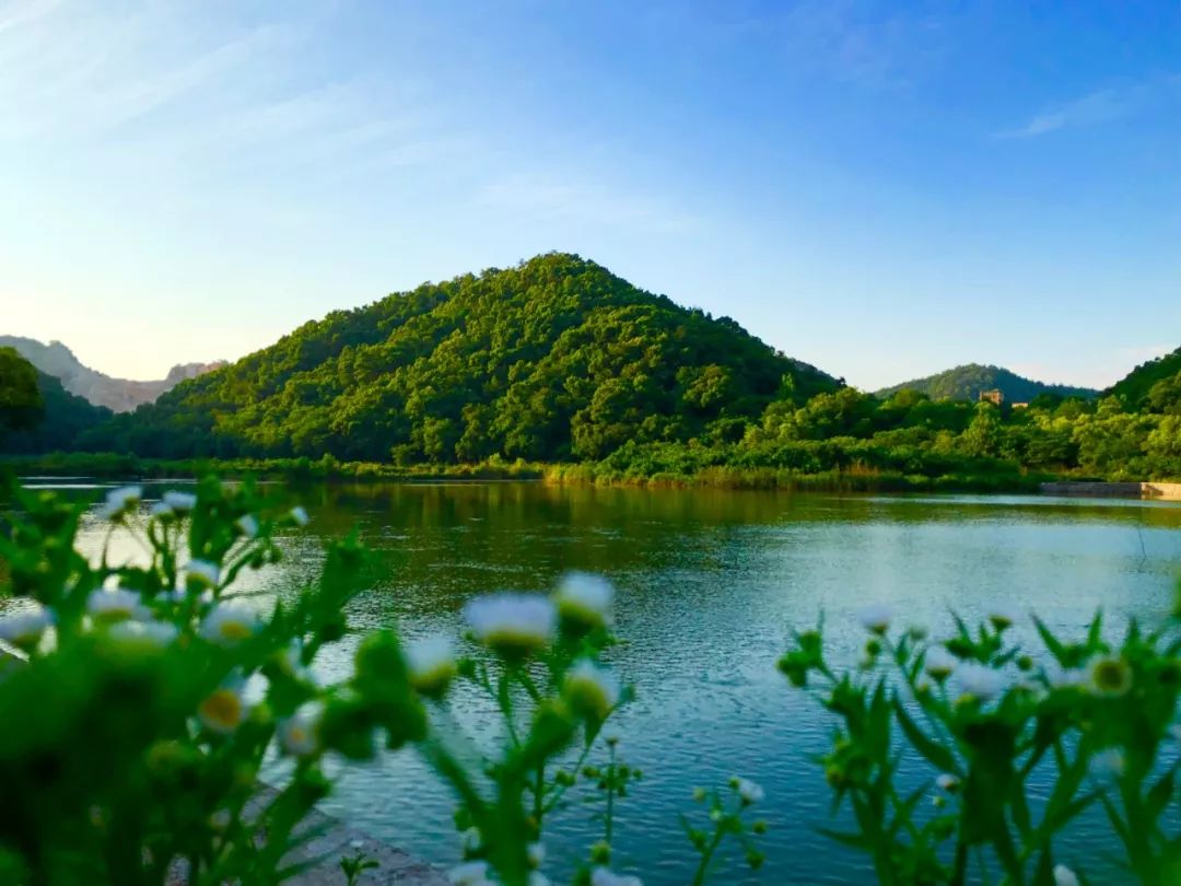 西湖區，你怎麼這麼好看！ 旅遊 第14張