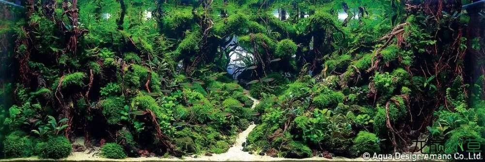 景观篇 11 风格赏析 台湾式 全网搜