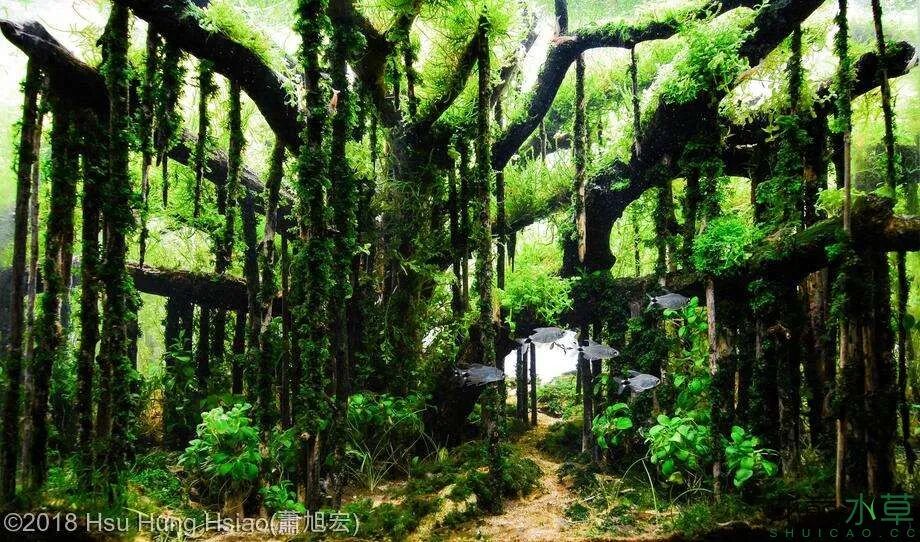 景观篇 11 风格赏析 台湾式 全网搜