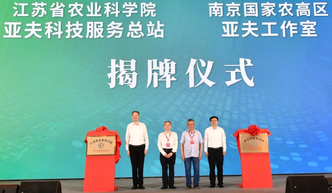 南京市政府副秘书长王国夫,溧水区领导薛凤冠,张蕴,张伟,朱克成