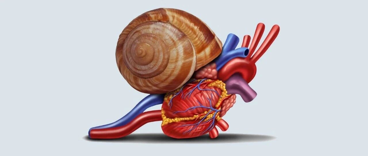 官方认定「心动过缓」的标准，心跳慢到什么程度要看医生？