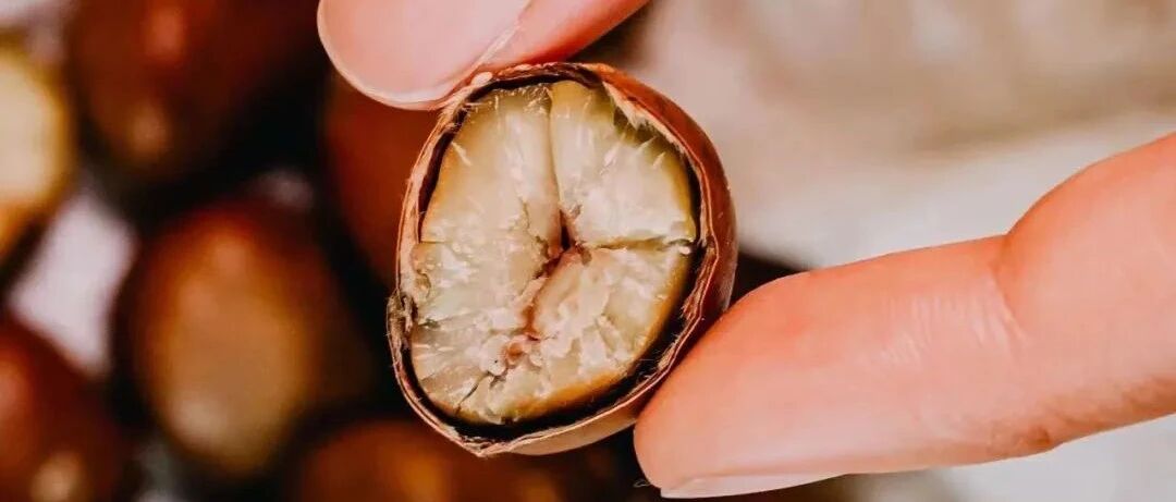 秋冬补肾吃什么好？中医给你举个“栗子”