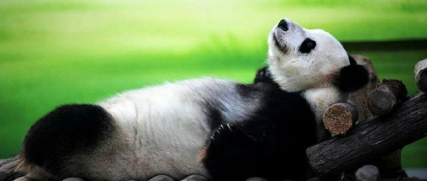 平躺，医生眼里对脊柱最友好的姿势