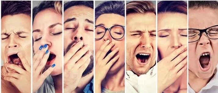 一个「哈欠」是如何修复身体的？科学家：促进血液循环、调节大脑温度